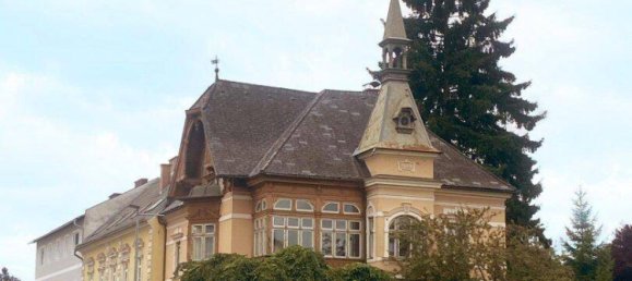 Villa de 11 habitaciónes en Knittelfeld, Austria No. 203404 6