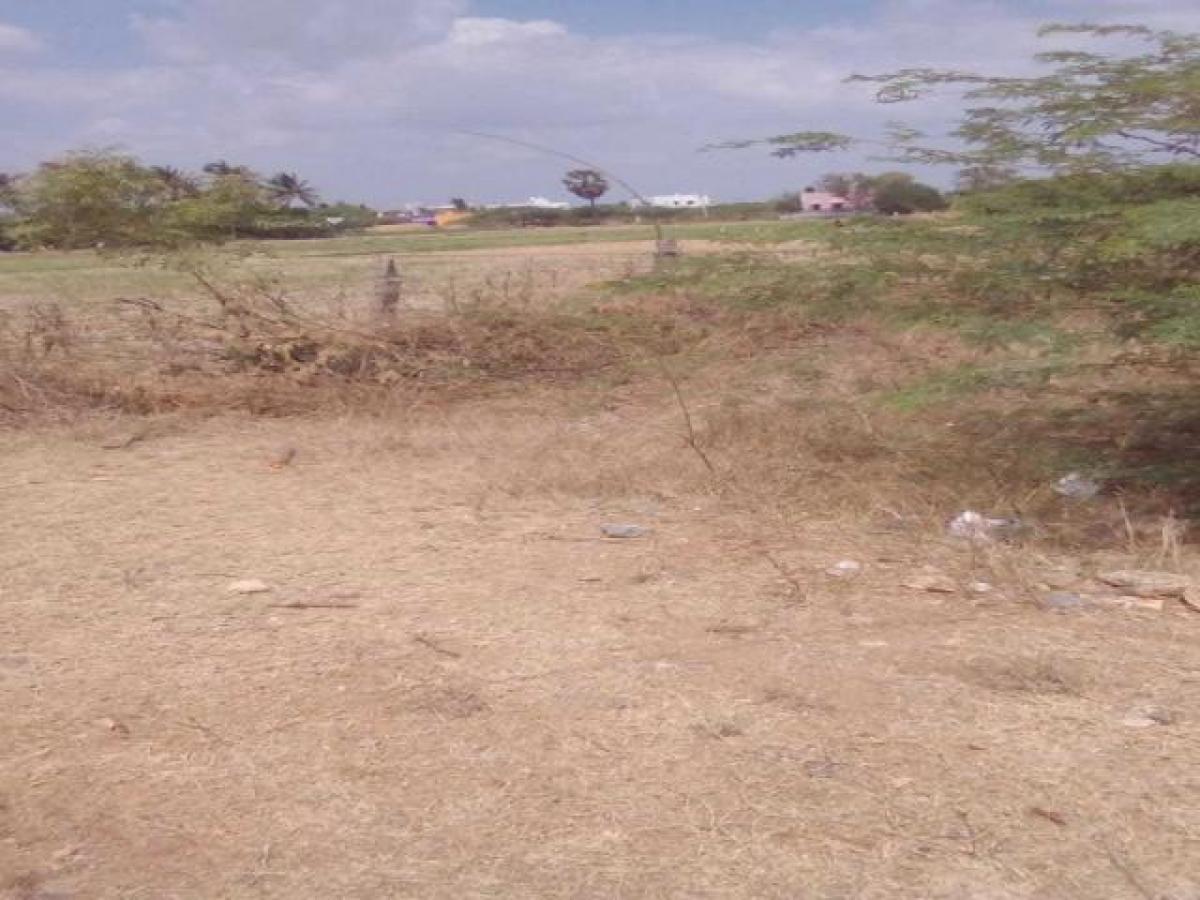 2 bedrooms House in Tirunelveli, India No. 8208