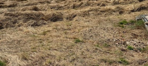 2 bedrooms House in Evora de Alcobaca, Portugal No. 187543 12