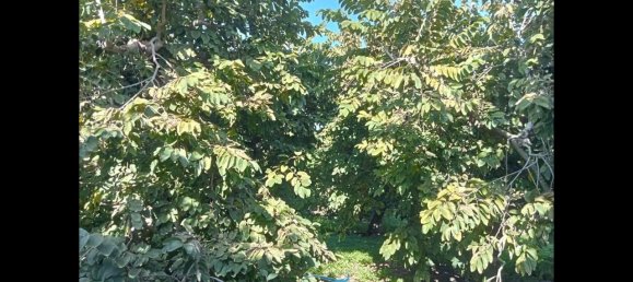 Terrain à Almunecar, Spain 2700m² No. 164579 17