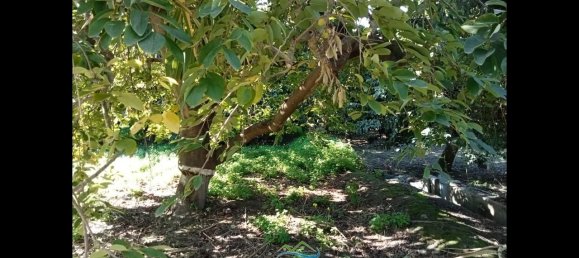 Terrain à Almunecar, Spain 2700m² No. 164579 14