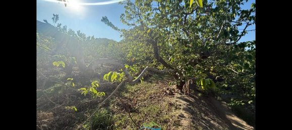 Terrain à Almunecar, Spain 2700m² No. 164579 2