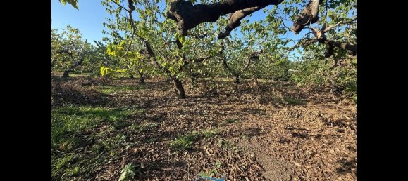 Terrain à Almunecar, Spain 2700m² No. 164579 34