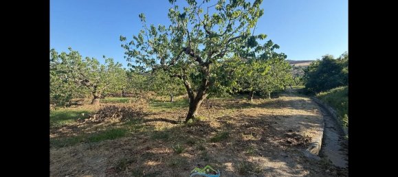 Terrain à Almunecar, Spain 2700m² No. 164579 31
