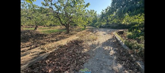 Terrain à Almunecar, Spain 2700m² No. 164579 6