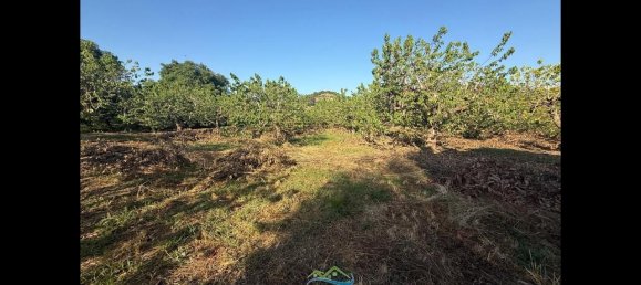 Terrain à Almunecar, Spain 2700m² No. 164579 32