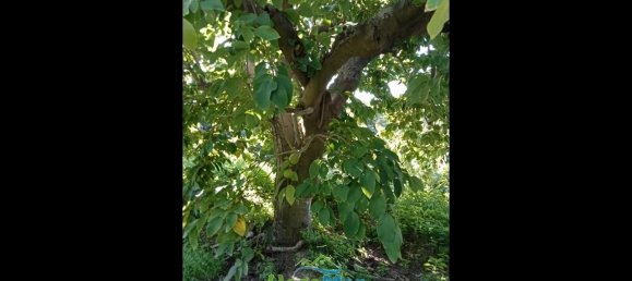 Terrain à Almunecar, Spain 2700m² No. 164579 9