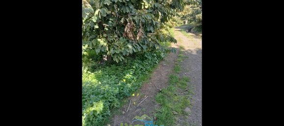 Terrain à Almunecar, Spain 2700m² No. 164579 12