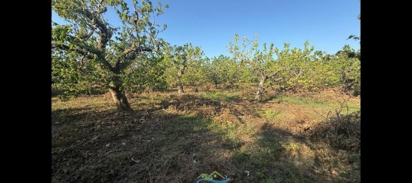 Terrain à Almunecar, Spain 2700m² No. 164579 35