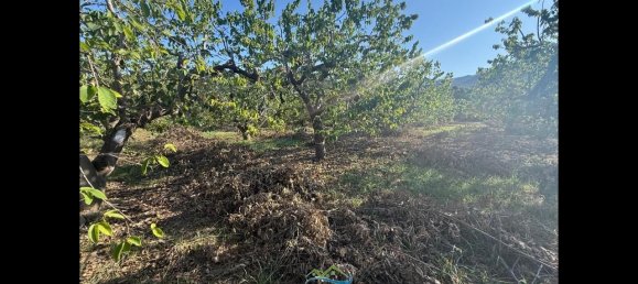 Terrain à Almunecar, Spain 2700m² No. 164579 7