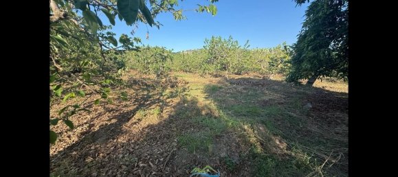 Terrain à Almunecar, Spain 2700m² No. 164579 33