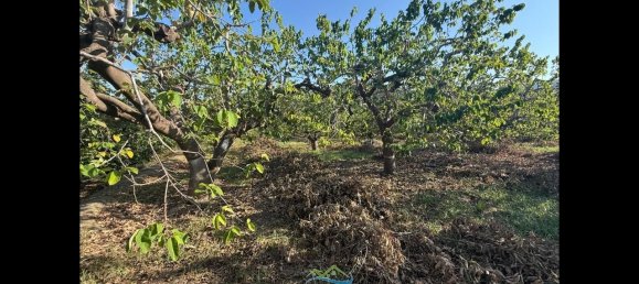 Terrain à Almunecar, Spain 2700m² No. 164579 4