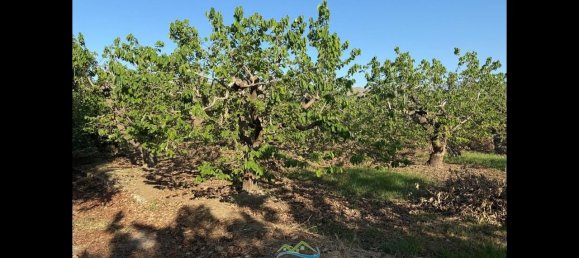 Terrain à Almunecar, Spain 2700m² No. 164579 29