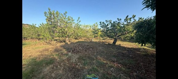 Terrain à Almunecar, Spain 2700m² No. 164579 30