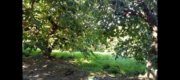 Terrain à Almunecar, Spain 2700m² No. 164579 21