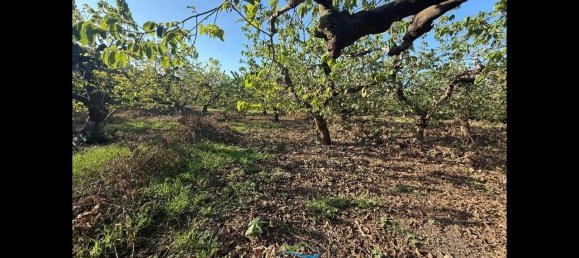 Terrain à Almunecar, Spain 2700m² No. 164579 36