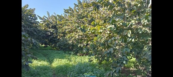 Terrain à Almunecar, Spain 2700m² No. 164579 18