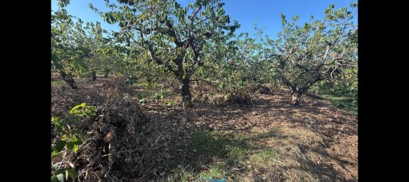 Terrain à Almunecar, Spain 2700m² No. 164579 37