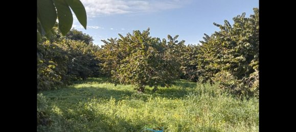 Terrain à Almunecar, Spain 2700m² No. 164579 10