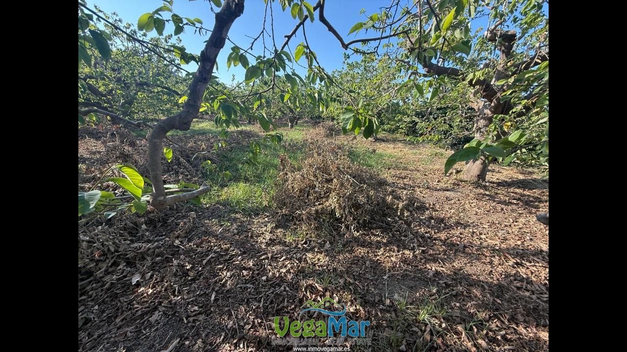 Terrain à Almunecar, Spain 2700m² No. 164579