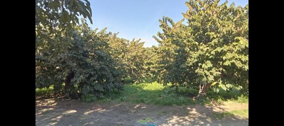 Terrain à Almunecar, Spain 2700m² No. 164579 22