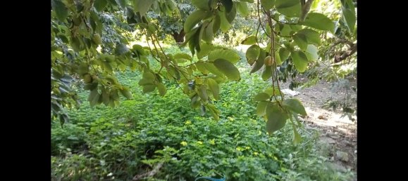 Terrain à Almunecar, Spain 2700m² No. 164579 15