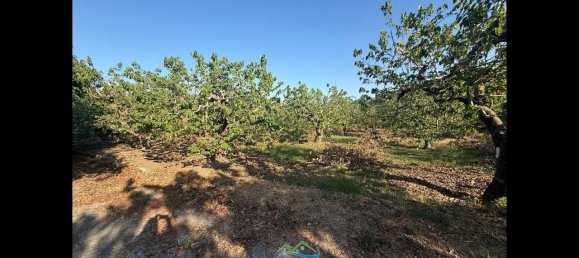 Terrain à Almunecar, Spain 2700m² No. 164579 28