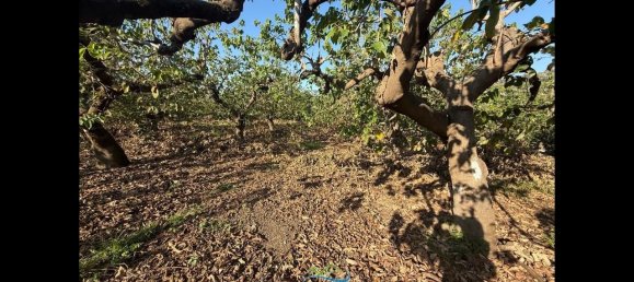Terrain à Almunecar, Spain 2700m² No. 164579 38