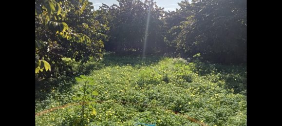 Terrain à Almunecar, Spain 2700m² No. 164579 3