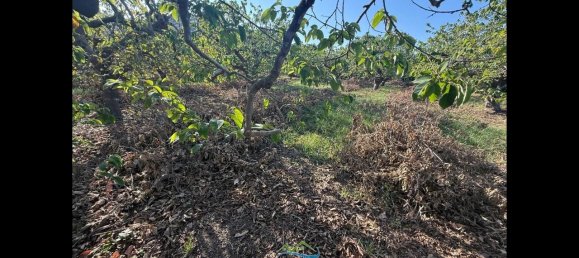 Terrain à Almunecar, Spain 2700m² No. 164579 5