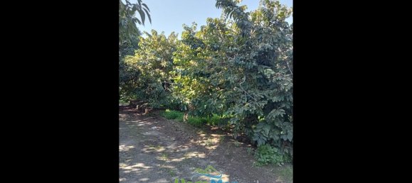 Terrain à Almunecar, Spain 2700m² No. 164579 24