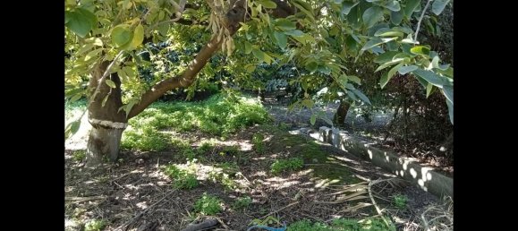 Terrain à Almunecar, Spain 2700m² No. 164579 13