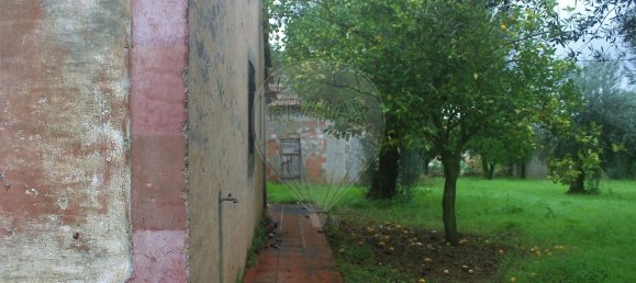 Casa T1 em Ferreira do Zêzere, Portugal N.º 21395 13