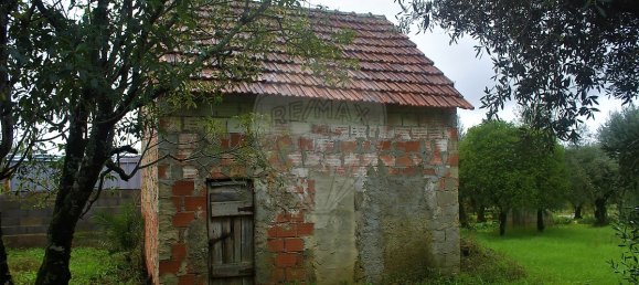 Casa T1 em Ferreira do Zêzere, Portugal N.º 21395 3