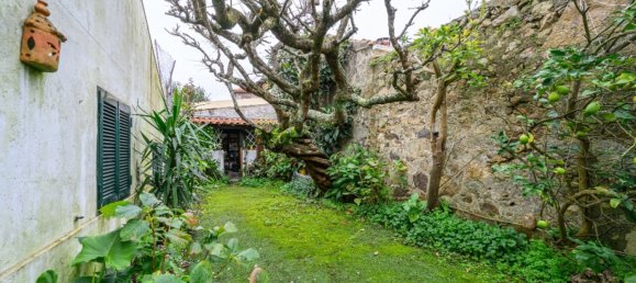 3 Schlafzimmer Haus in Porto, Portugal, Nr. 104476 18