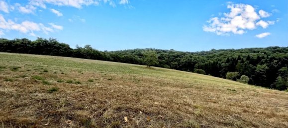 3 Schlafzimmer Haus in Dordogne, France, Nr. 335894 17