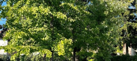 3 rooms Villa in Retorbido, Italy No. 332724 19