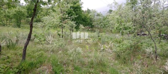 15000m² Land in Baiao, Portugal No. 56095 4