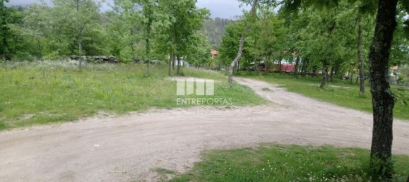 15000m² Land in Baiao, Portugal No. 56095 5