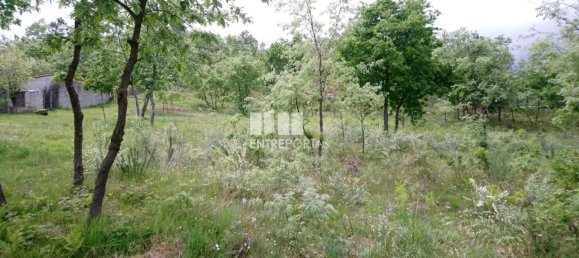 15000m² Land in Baiao, Portugal No. 56095 3