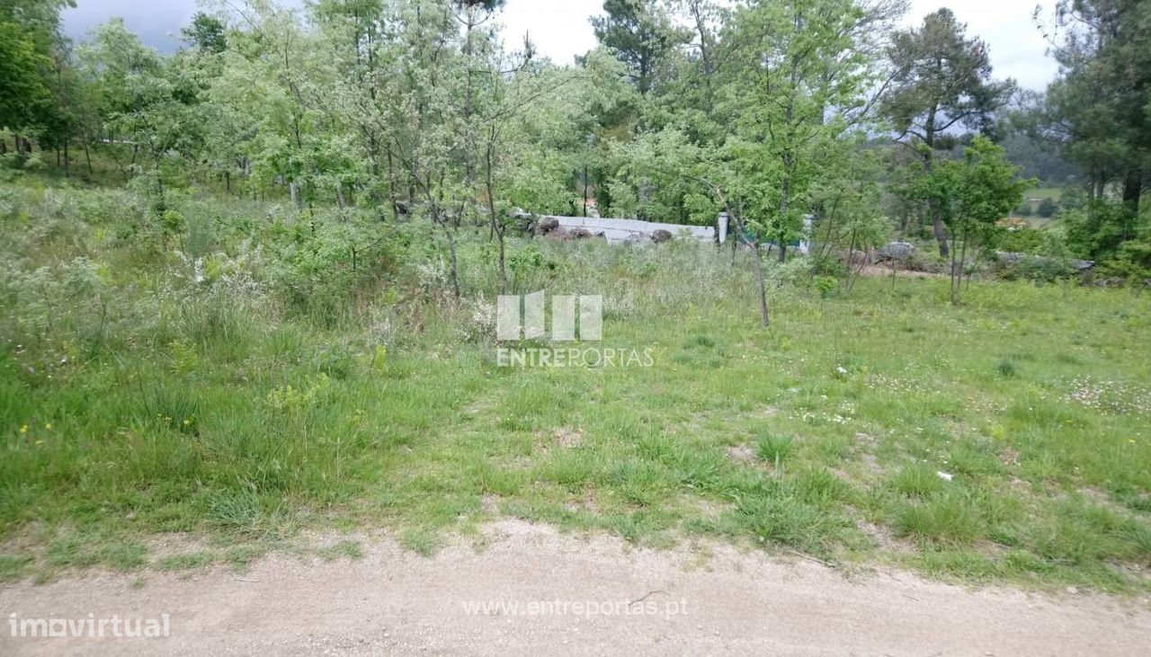 15000m² Land in Baiao, Portugal No. 56095