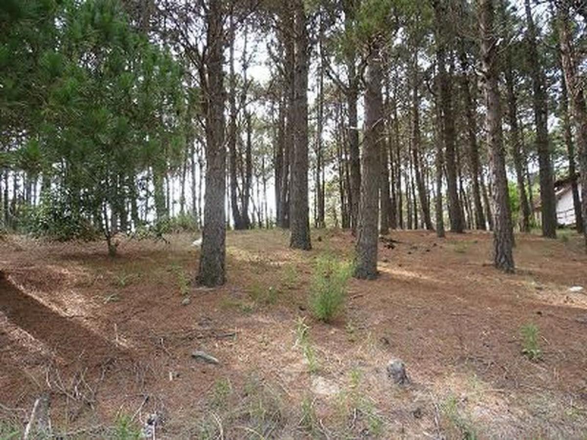  Land in Mar del Plata, Argentina No. 112617