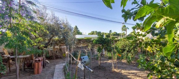 4 bedrooms House in Torrevieja, Spain No. 183618 4