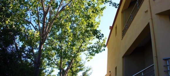 13 bedrooms Villa in Chalkidiki, Greece No. 6114 21