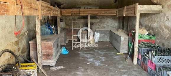 4 Schlafzimmer Haus in Barcelos, Portugal, Nr. 31133 15