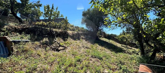 3 bedrooms House in Casal de Cambra, Portugal No. 47174 29