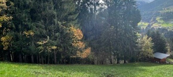  Land in Weerberg, Austria No. 132299 4