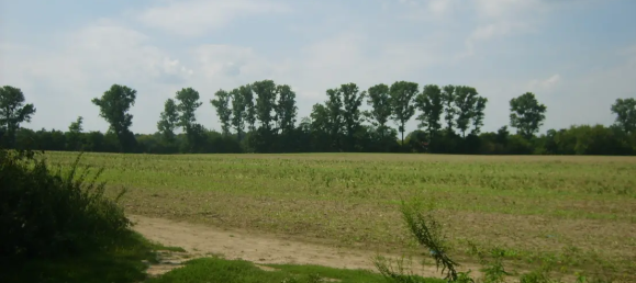 Grundstück in Oder-Spree, Germany, Nr. 313499 4