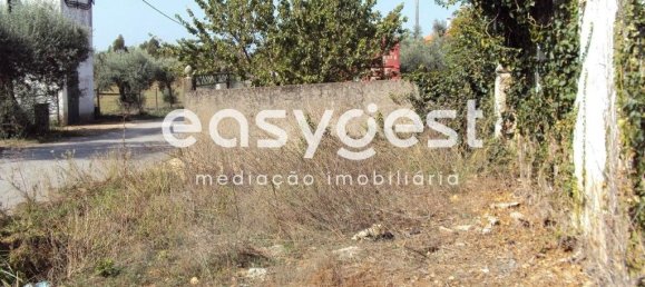 5 bedrooms House in Santarem, Portugal No. 71671 4