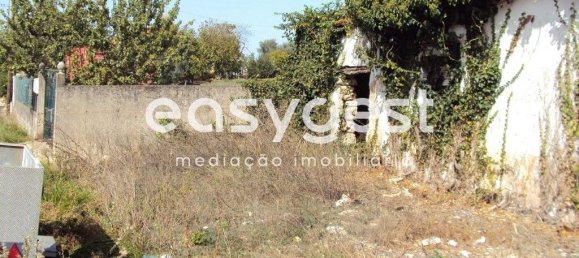 5 bedrooms House in Santarem, Portugal No. 71671 12